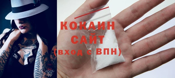 сатива Богородицк