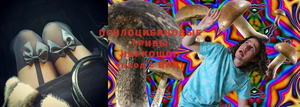 сатива Богородицк