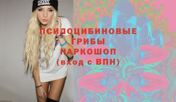 2c-b Богданович