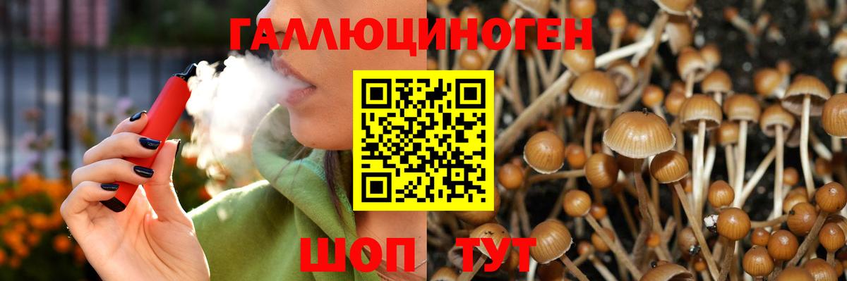 где найти наркотики  Псилоцибиновые грибы ЛСД  Псилоцибиновые грибы GOLDEN TEACHER  Вход с VPN  Верхняя Пышма 